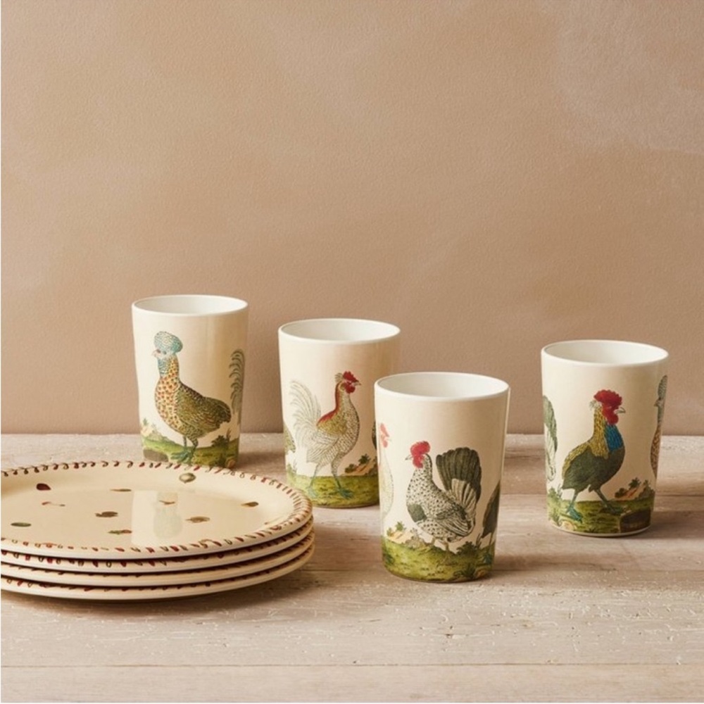 John Derian Dinnerware Kids Set 🧸🦀